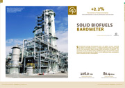 Biomass Solid